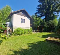 The garden of the cottage in Žilina with a lawn and tall trees in the background.