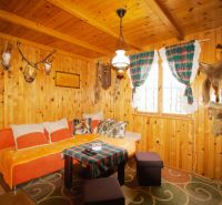 A cozy cabin with wooden paneling, a sofa, and hunting trophies on the walls.