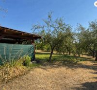 Cottage on the Vineyard in Lučenec surrounded by trees and lawn.