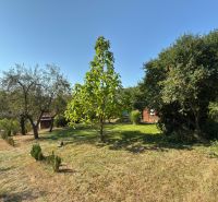 The garden at the cottage on Vinica Street in Lučenec is full of trees and green lawn.