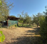 A garden with a cottage surrounded by trees on Vinica Street in Lučenec.
