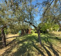 A garden with fruit trees near the cottage on Vinica Street in Lučenec.