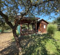 A cottage in the vineyard in Lučenec, surrounded by greenery and fruit trees.