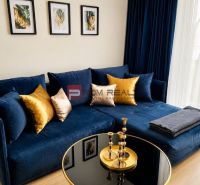 Blue couch with pillows, coffee table, decorations, wooden decor flooring.