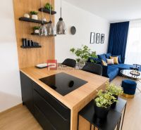 A kitchen with an island and a living room in a 2-room apartment with a wooden decor floor.
