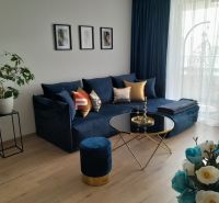 Living room in a two-room apartment with a blue sofa, wooden decor flooring, and decorations.