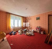 A room in a family house with a red carpet and lots of objects everywhere.