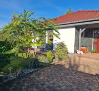 A family house in Nové Zámky with a lawn, trees, and a dog on a paved yard.
