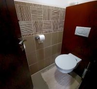 A bathroom in a family house with ceramic tiles and a wall-mounted toilet.
