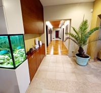 The interior of a family house with an aquarium, a plant in a blue flowerpot, and tiles.