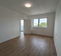 A bright room in a 2-room apartment with a wooden decor floor.