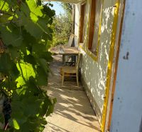 The veranda of the cottage in Banka with a wooden table surrounded by the greenery of grapevines.