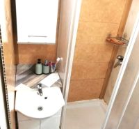 Bathroom with a sink and a shower in a studio apartment.