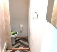 Bathroom with toilet and wooden decor flooring in a studio apartment.