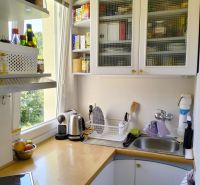 Compact kitchen in a studio apartment with shelves and a sink, wooden decor flooring.