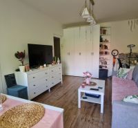 Living room in a one-bedroom apartment with a wood-patterned floor and cozy furnishings.