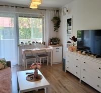 Living room in a studio apartment with wood-patterned flooring and white furniture.