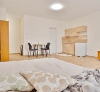 Studio apartment with wood-patterned flooring, kitchenette, dining table for two.