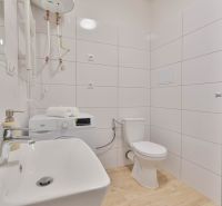 A bathroom in a studio apartment with a washing machine, sink, toilet, and shower, wooden decor flooring.