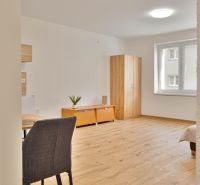 A studio apartment with a wood-patterned floor, a wardrobe, a window, a table, and two cabinets.