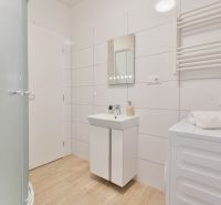 A bathroom in a studio apartment with a wood-patterned floor, white tiles, and a shower corner.
