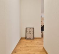 A hallway in a studio apartment with a wooden decor floor and a picture leaning against the wall.
