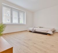 Studio apartment with wood-patterned flooring, a bed, and a large window.