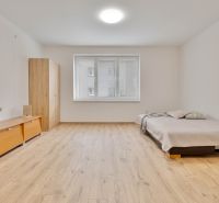 Studio apartment with wood-patterned flooring, a bed, and a cabinet, neutral colors.