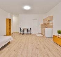 Studio apartment with a kitchenette, furniture, and flooring with a wood design.