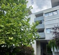 An apartment building surrounded by trees on Sklenárska Street in Bratislava - Staré Mesto.