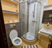 Bathroom with toilet, shower, sink, and shelves in a studio apartment.