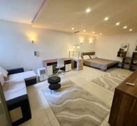 1-bedroom apartment with a bed, sofa, carpet, and lighting, flooring with a wooden decor.