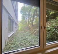 The view from the window of a one-room apartment onto greenery and an adjacent building.