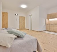 A studio apartment with a wood-patterned floor, a kitchen unit, and a bed in light tones.