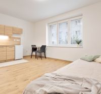 Studio apartment with a kitchenette, bed, and dining table, floor with wood decor.