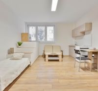 Studio apartment with wood-patterned flooring, a bed, a kitchenette, and furniture.
