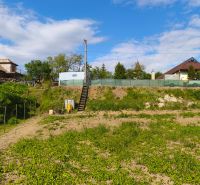 Greenery on recreational plots in Záhorce on Selešťany Street, with a view of the houses.
