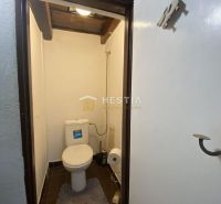 A toilet in a family house with dark tiles and white walls.