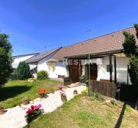 A family house in Borský Mikuláš with a garden, flowers, and a lawn in a sunny yard.