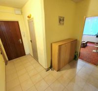 Entrance hall in a 4-room apartment with entrance doors and storage furniture.