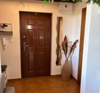 Entrance hallway with a plant and wooden decor in a 3-room apartment.
