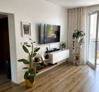 A room in a 3-room apartment with a wooden decor floor, a television, and plants.