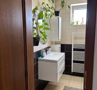 A bathroom in a 3-room apartment with tiles and green plants.