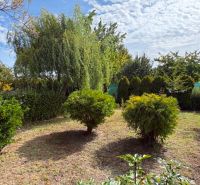 Gardens in Komárno with rich green vegetation, including trees and shrubs.