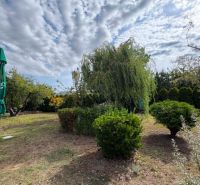 A garden in Komárno with greenery and a parasol under a cloudy sky.