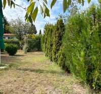 Gardens in Komárno with conifers and sandy grass, green umbrella on the side.