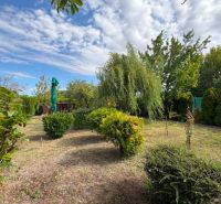 Gardens in Komárno with bushes, trees, and a green umbrella under a blue sky.