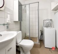 A bathroom in a studio apartment with a sink, shower, and washing machine.