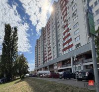 A view of the apartment building on Šustekova Street in Bratislava-Petržalka, the studio apartment offers an adjacent parking lot.