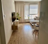 Living area in a two-room apartment with a wooden decor floor and a sofa.